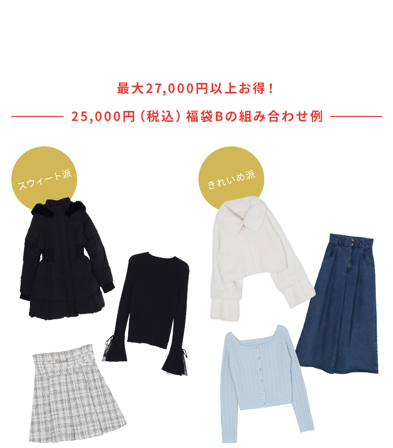 最大27,000円以上お得！25,000円（税込）福袋Bの組み合わせ例