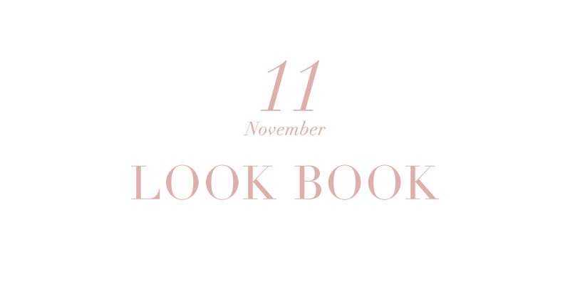 November LOOK BOOK