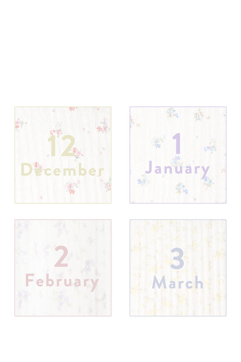 月別PREORDERアイテム一覧