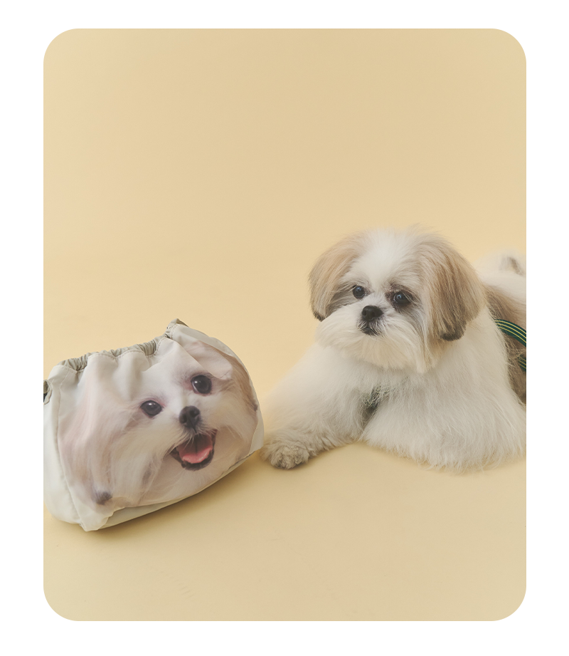 モコゾウとおさんぽポシェット - 2