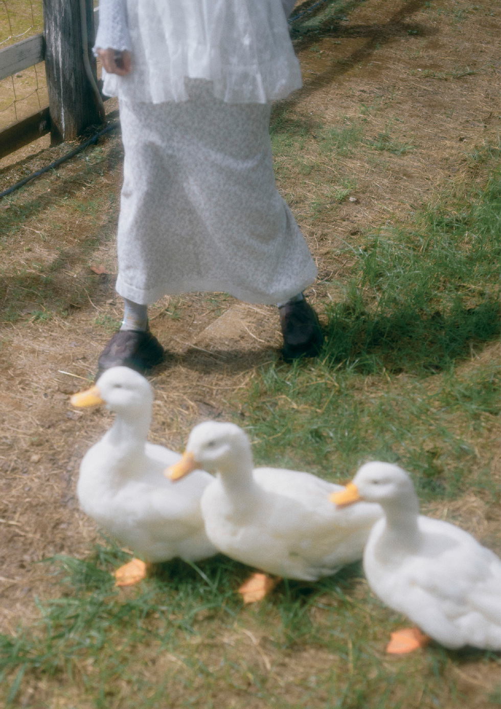 2025 spring LOOKBOOK - Sanctuary -6