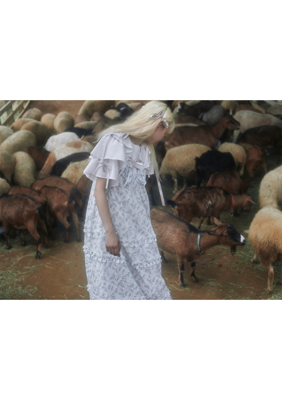 2025 spring LOOKBOOK - Sanctuary -28