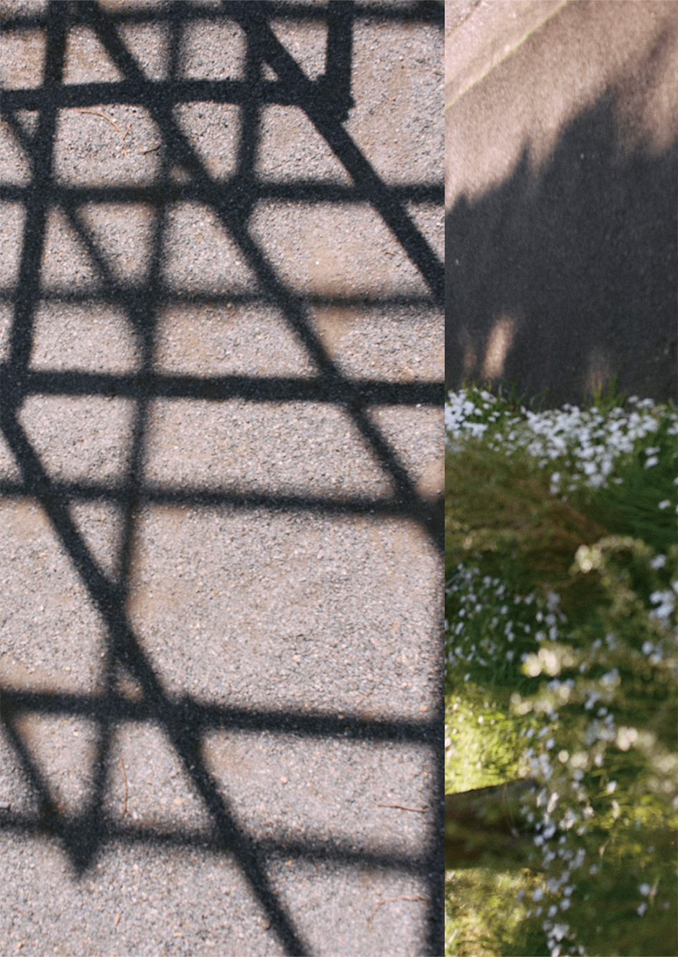 2025 autumn LOOKBOOK - yume yume -25