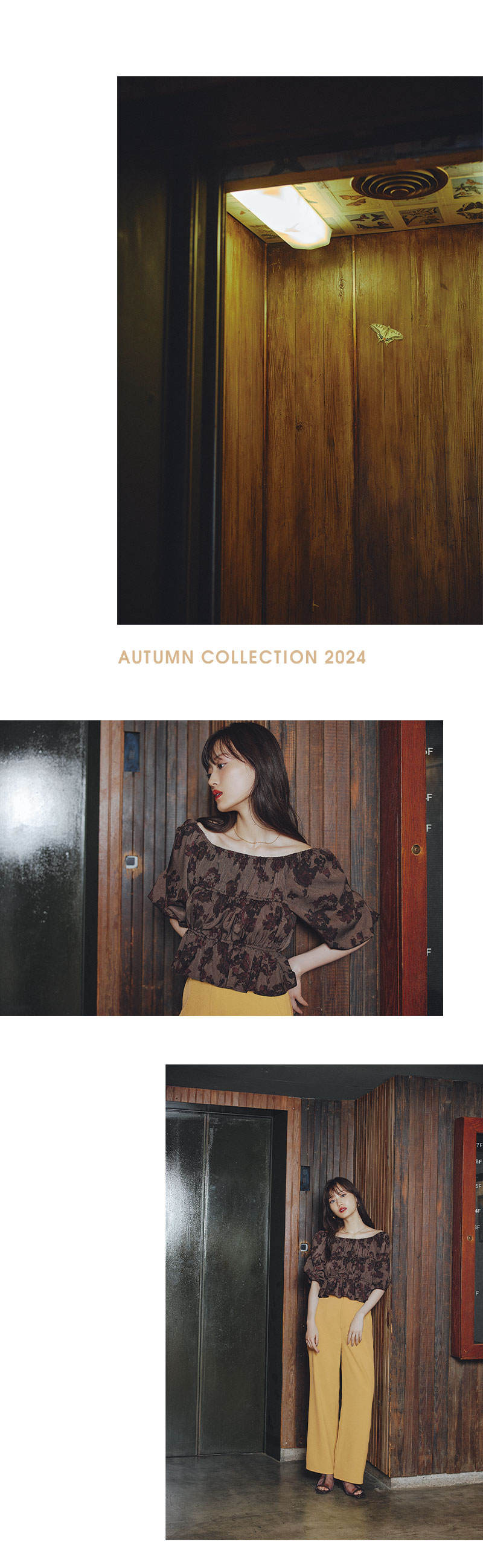 THE BALLAD IN ROMANTIC AUTUMN Starring Mizuki Yamashita THE BALLAD IN ROMANTIC AUTUMN Starring Mizuki Yamashita