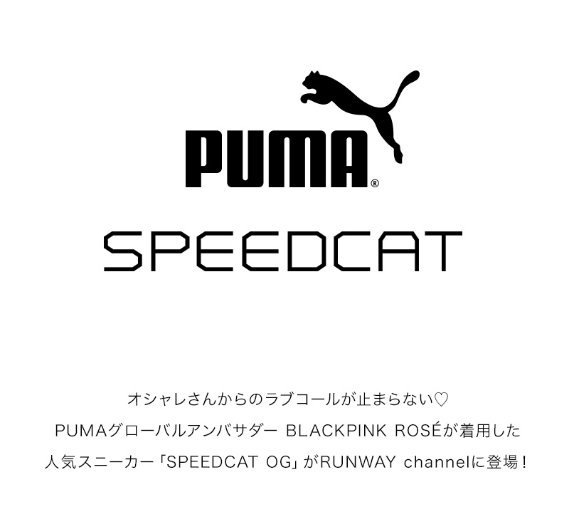 Sale START！