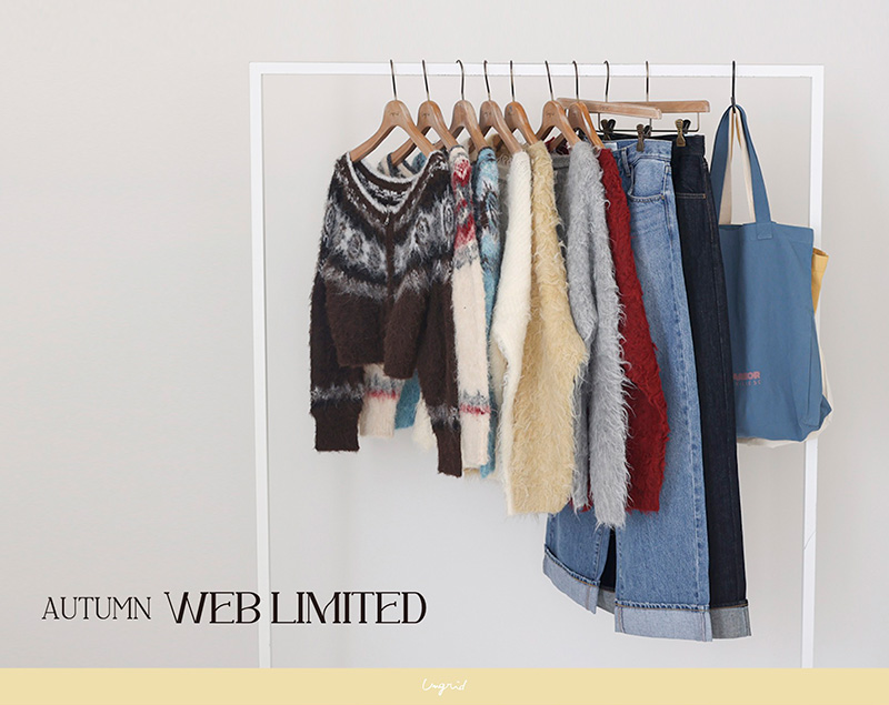 Autumn WEB LIMITED