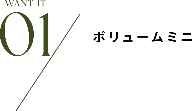 01 / ボリュームミニ