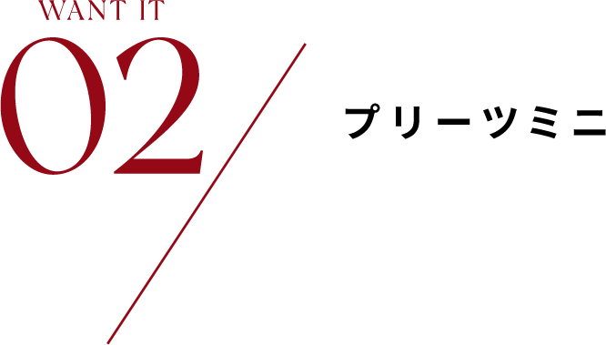 02 / プリーツミニ