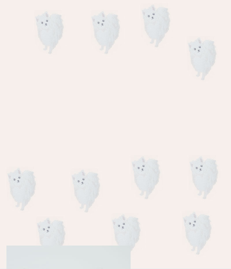 CALNAMUR meets PEACH JOHN special collaboration