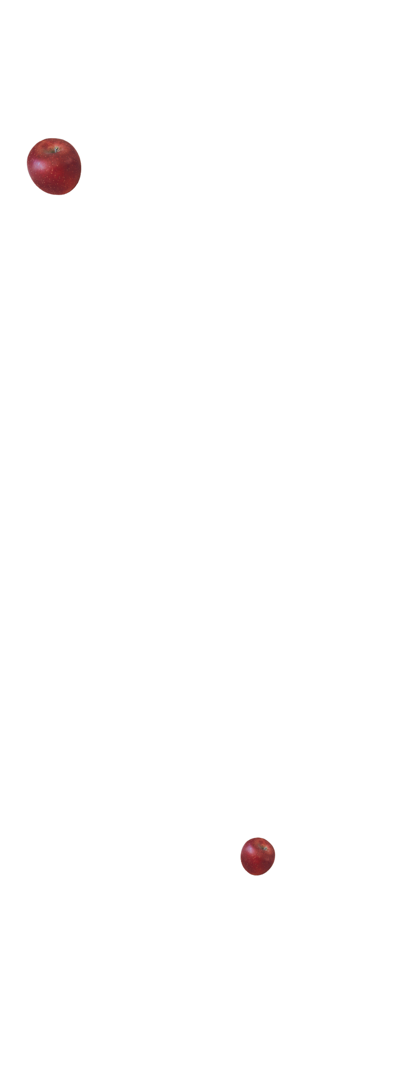 Fluffy rabbit tee