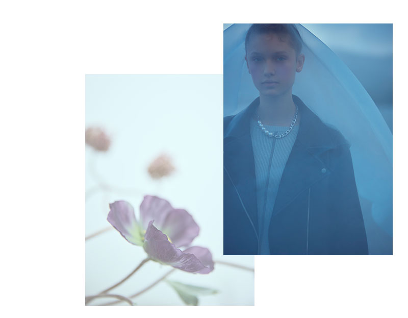 2025 SPRING COLLECTION