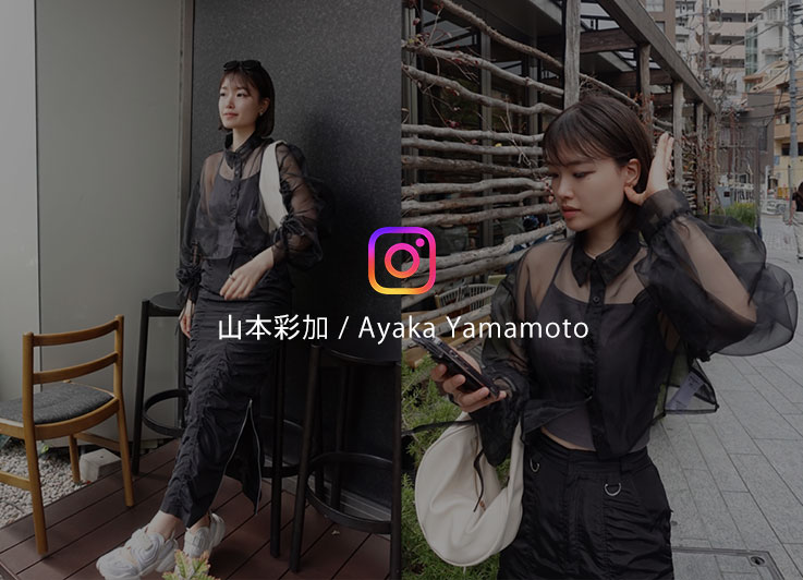 AMBASSADOR SNAP