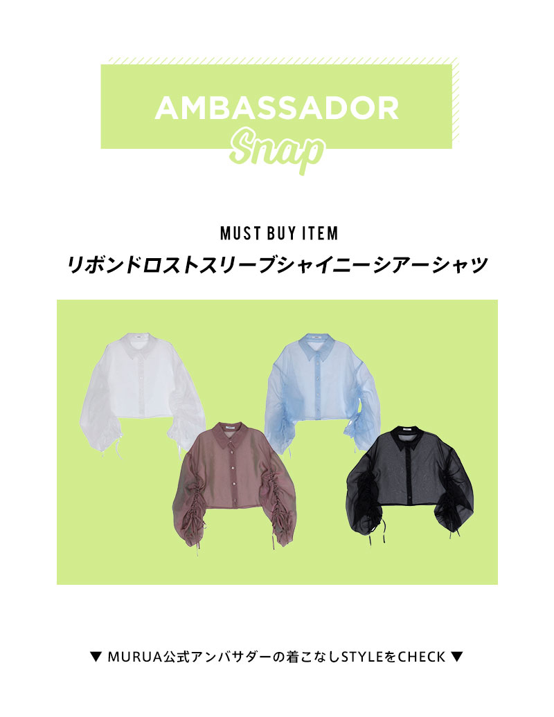AMBASSADOR SNAP