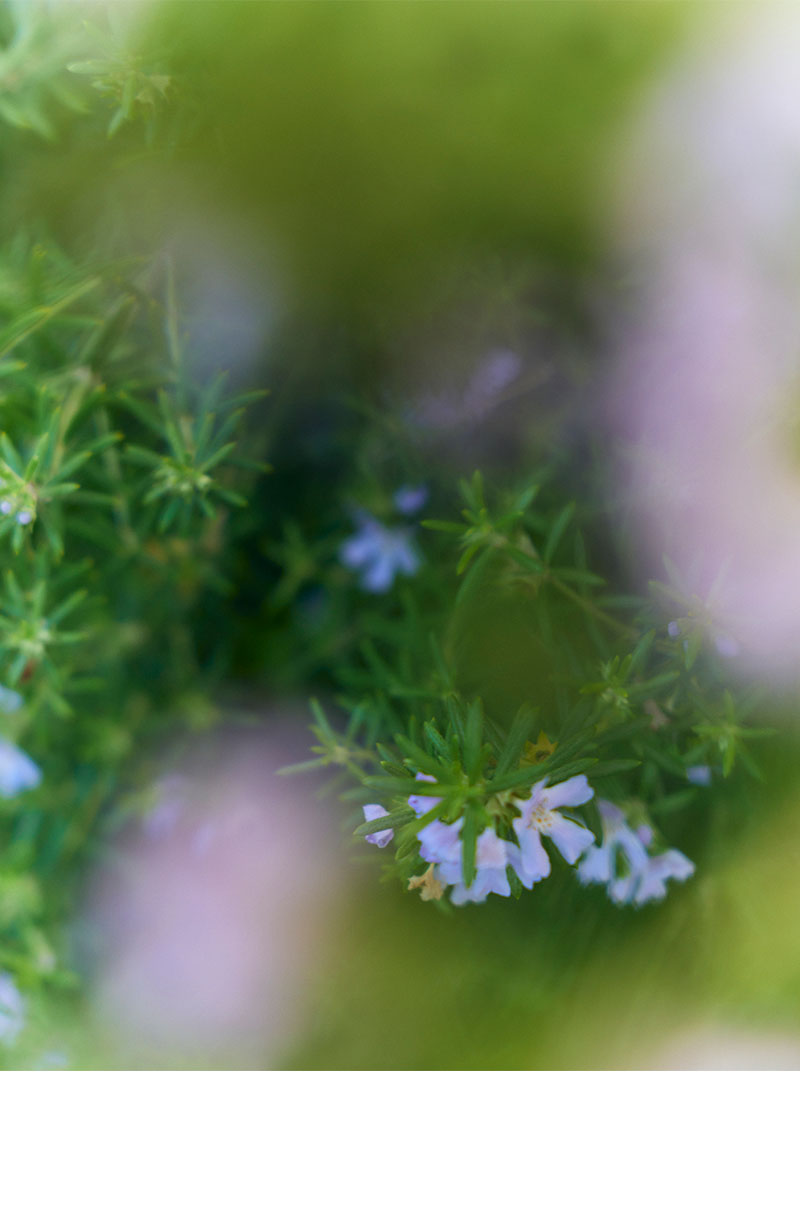 FILA collaboration meet.YOKA OGAWA